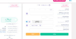 وارد کردن اطلاعات کارتی